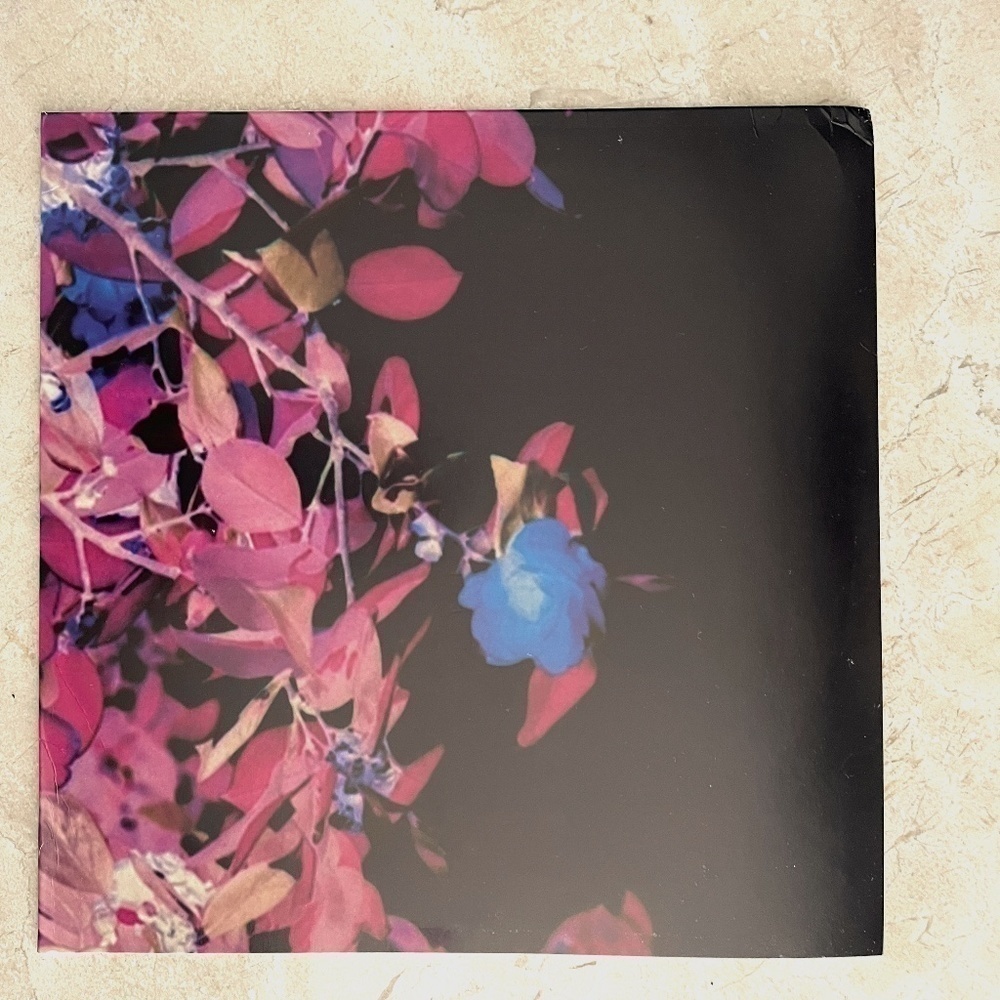 FENDI LP VINYL RECORD